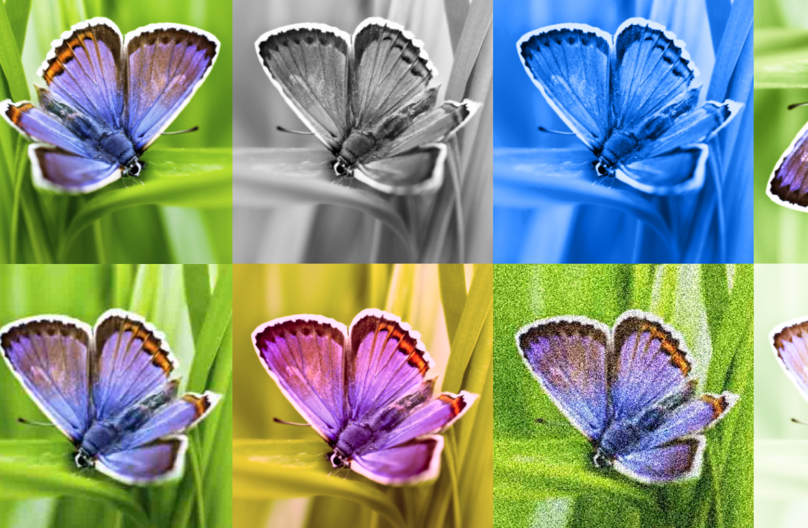 Lindungi Copyright, Google DeepMind Ciptakan SynthID Pendeteksi Gambar Watermark Lindungi Copyright, Google DeepMind Ciptakan SynthID Pendeteksi Gambar Watermark