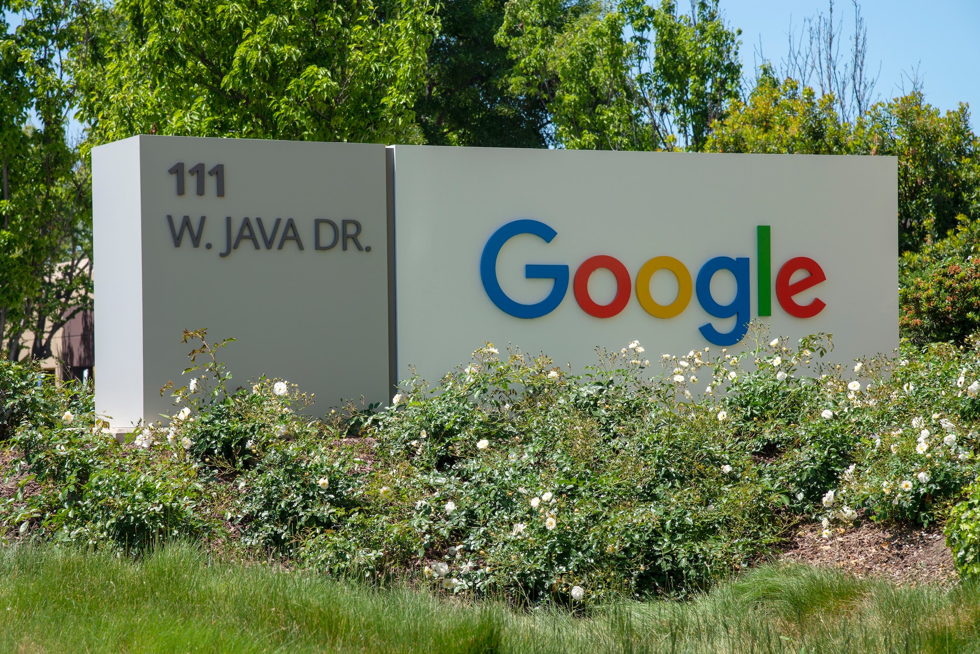 Google TV Ambil Alih, Google Play Movies & TV Ditutup Mulai Januari 2024 Google TV Ambil Alih, Google Play Movies & TV Ditutup Mulai Januari 2024